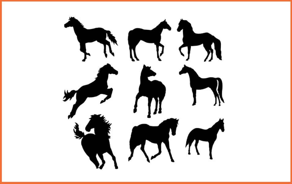 Horse Photoshop Shapes