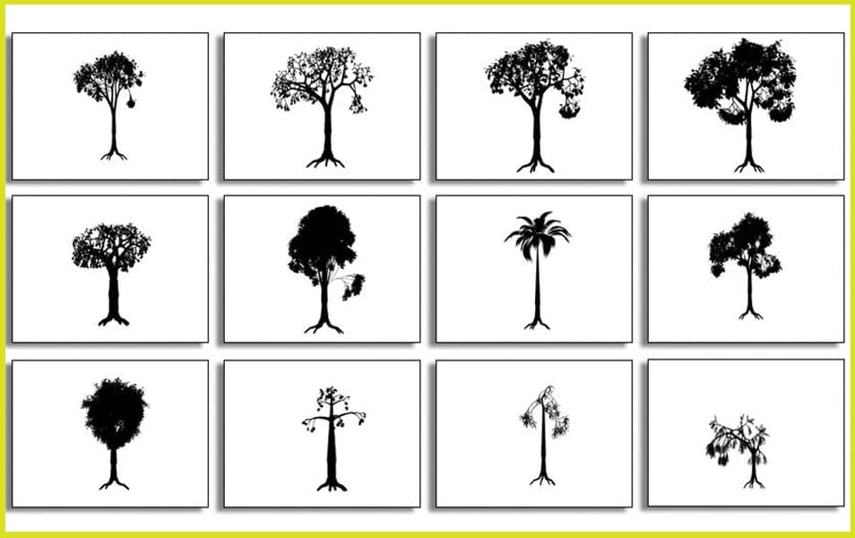 Live Trees Photoshop Custom Shapes