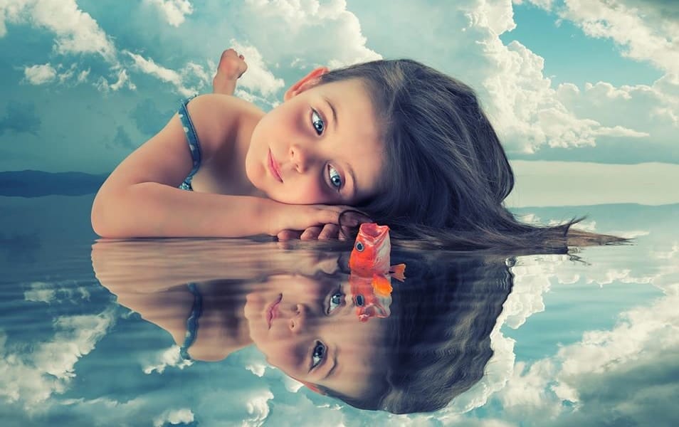 Incredible Photo Manipulation Arts 12 Photo Manipulation Goldfish