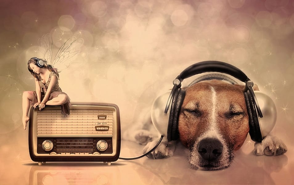 Incredible Photo Manipulation Arts 16 Same Wavelength