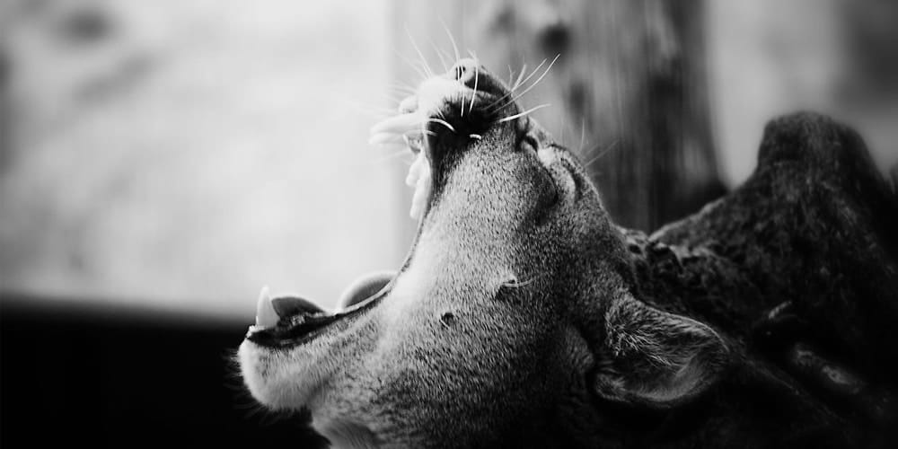 Latest Free Photoshop Actions 81 Latest Free Photoshop Actions 1