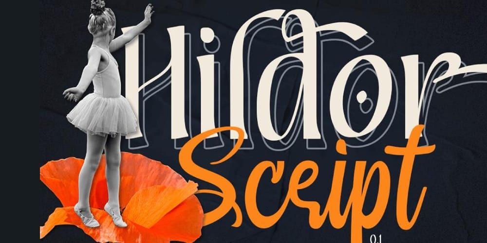 250 + Free Modern Script Fonts for Designers 453 Hildor Script
