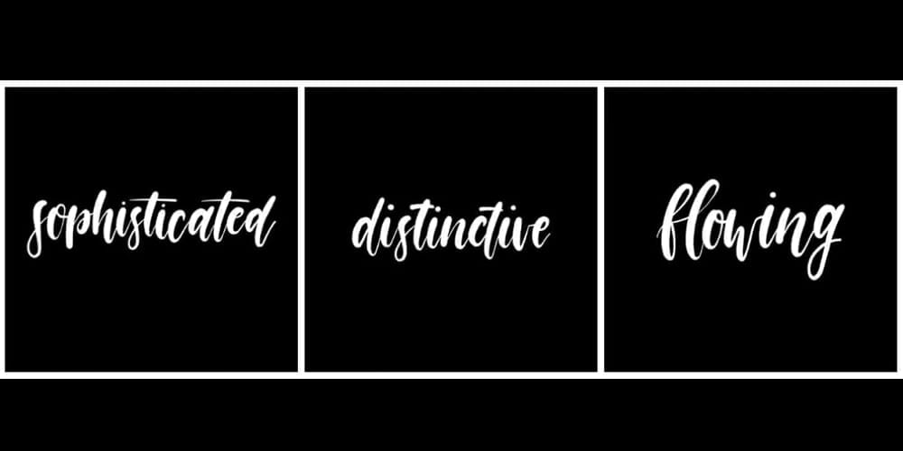 Best Free Procreate Brushes 37 Gracie Brush