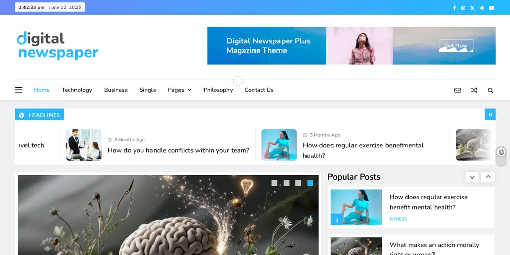 15+ Best Free WordPress Themes for News Sites 29 Digital Newspaper