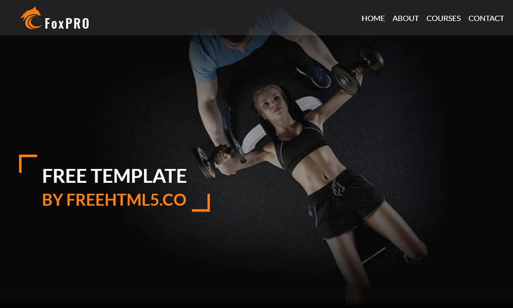 20+ Best Free Fitness HTML Templates 44 Fox
