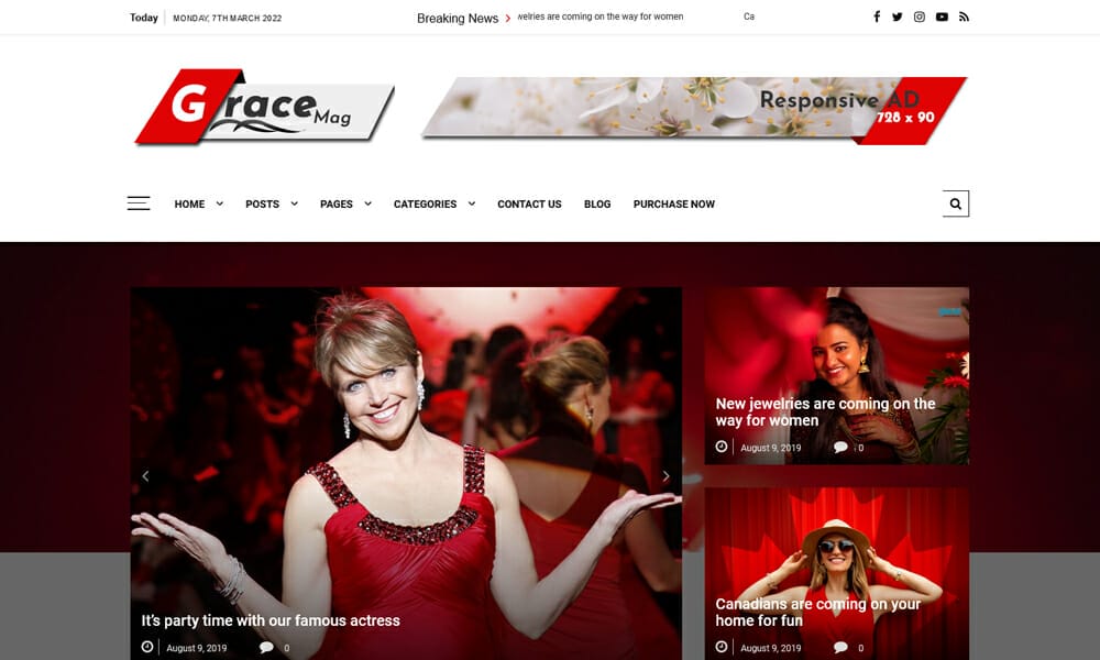 15+ Best Free WordPress Themes for News Sites 13 Grace Mag - Free News WordPress Theme