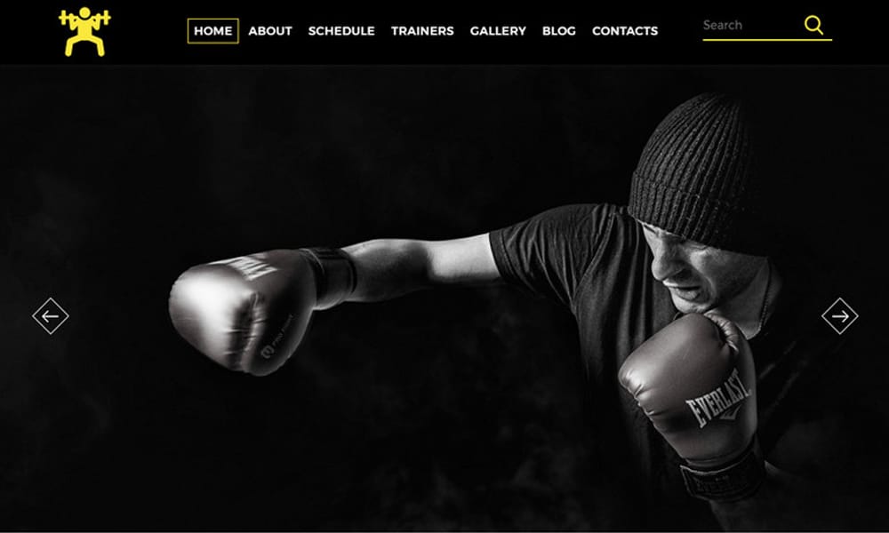 20+ Best Free Fitness HTML Templates 47 Gym Fitcare