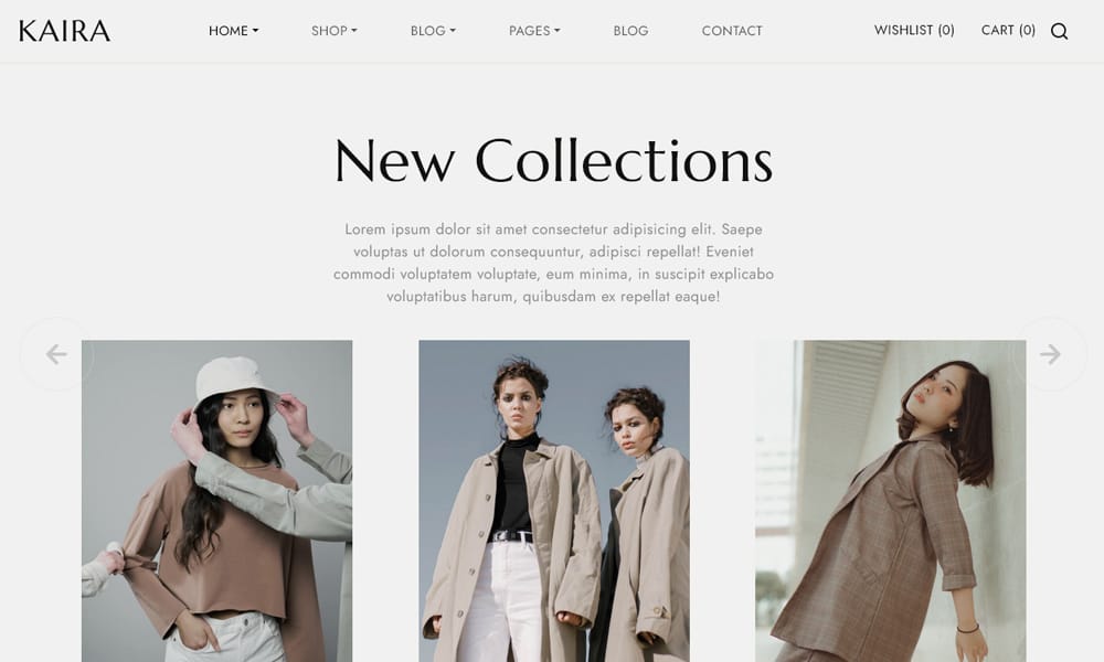 Free eCommerce Bootstrap Templates 90 Kaira