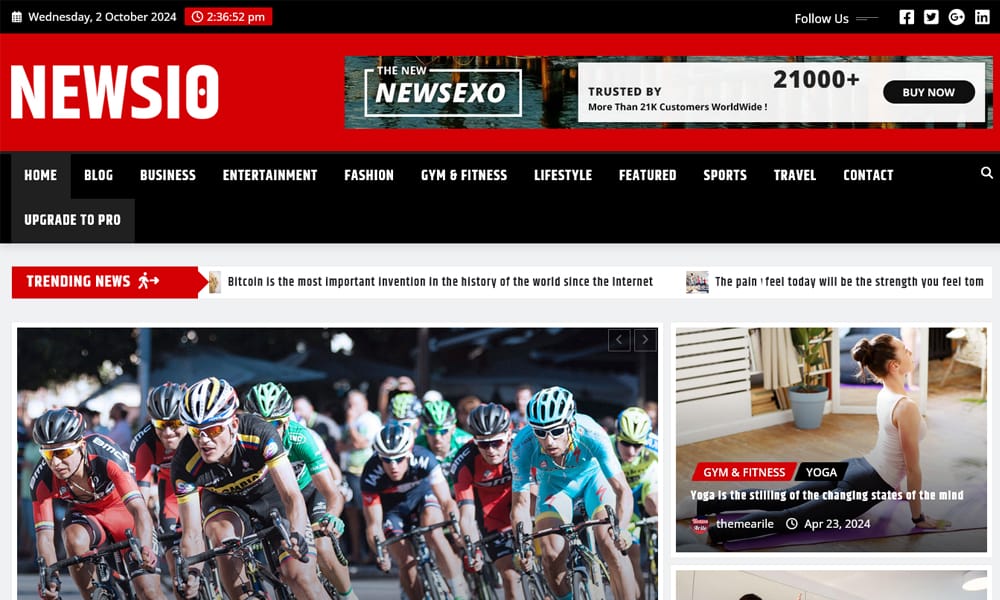 15+ Best Free WordPress Themes for News Sites 27 Newsio