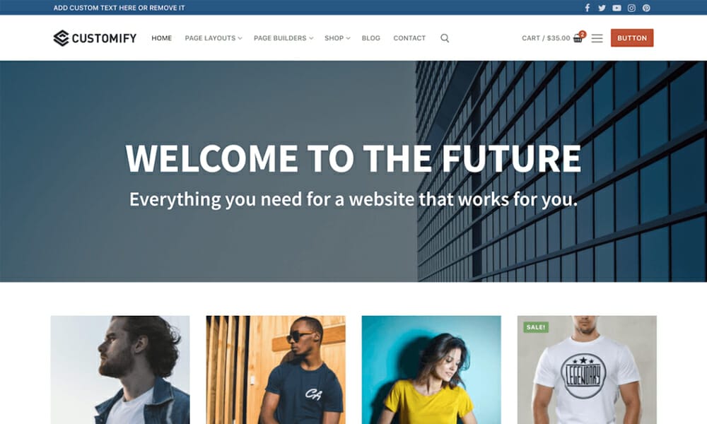 15+ Best Free Fastest Loading WordPress Themes 2024 9 Customify