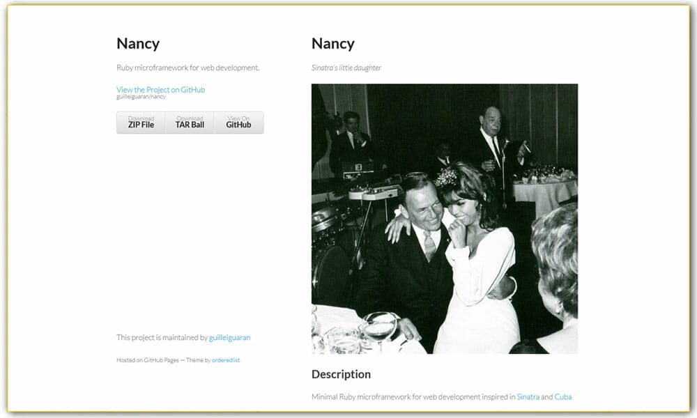 50+ Ruby Frameworks For Developers 19 Nancy