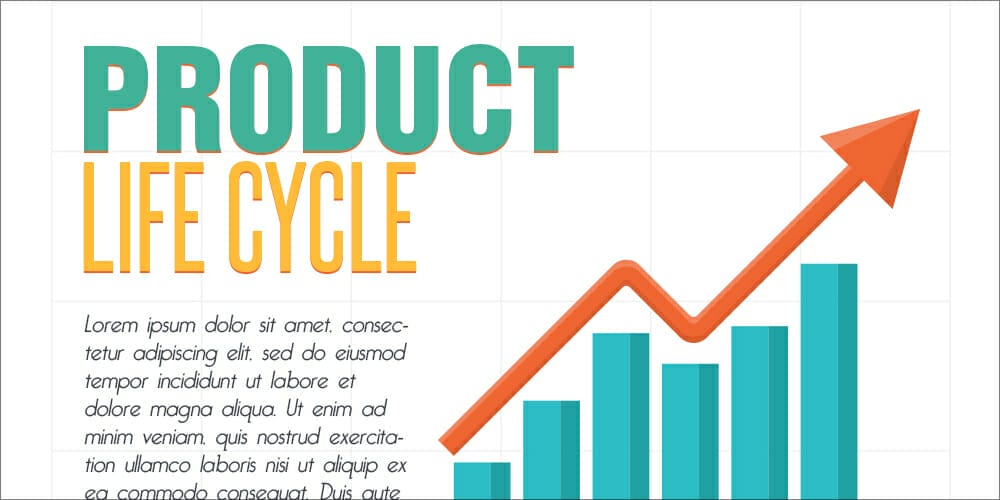 Product Life Cycle Template