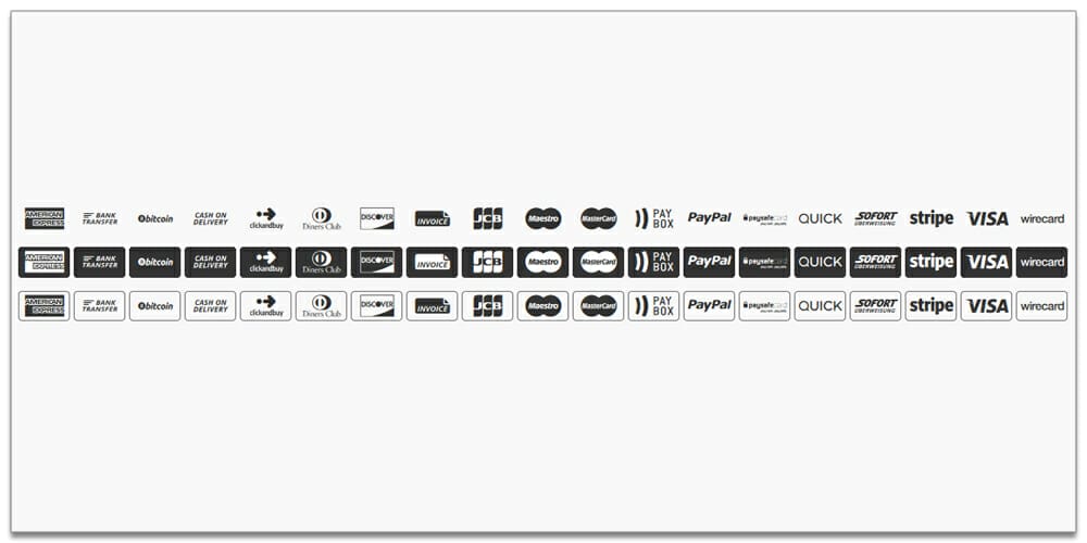 Payment Font