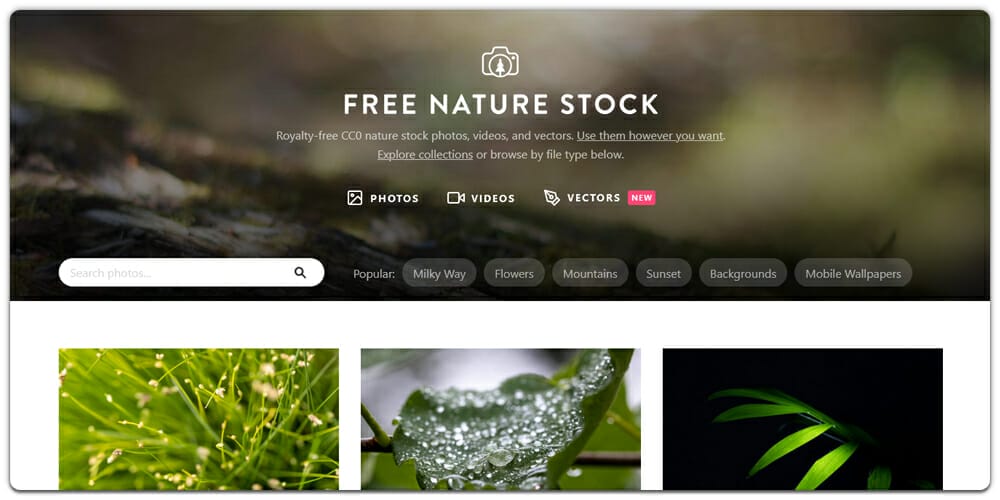 Free Nature Stock