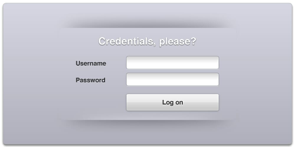 Login Interface