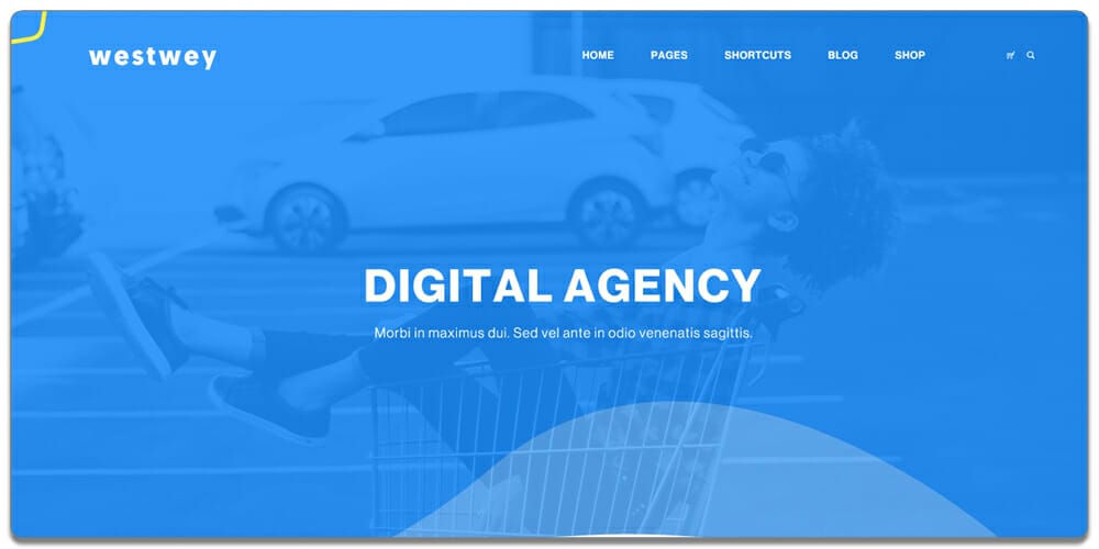 Free Agency Website Templates PSD 6 Westwey