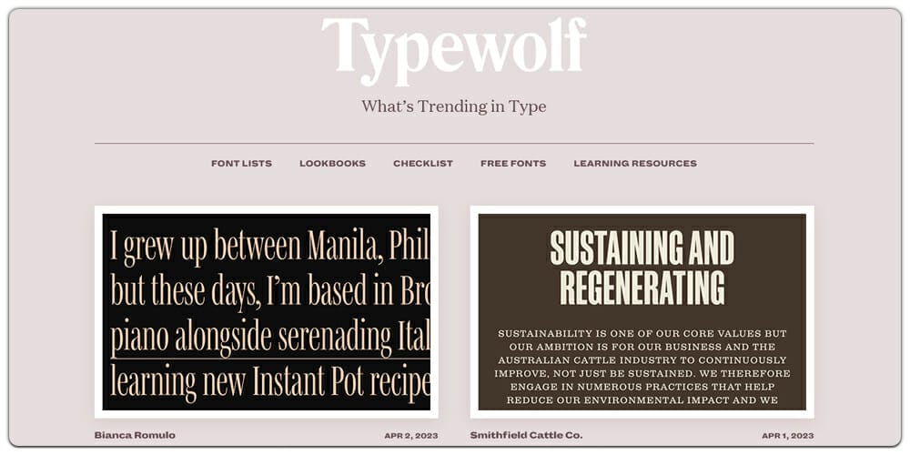 10+ Best Tools for Designers to Find Best Fonts 2 Typewolf