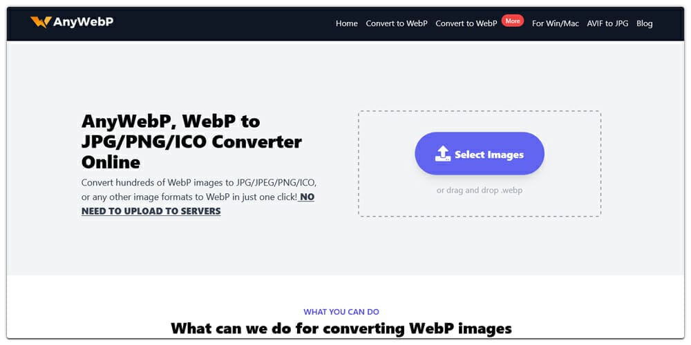 The Best Image Optimization Tools 29 AnyWebP
