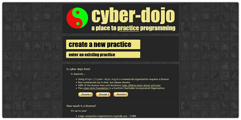 Best Places to Learn Web Development 107 Cyber Dojo