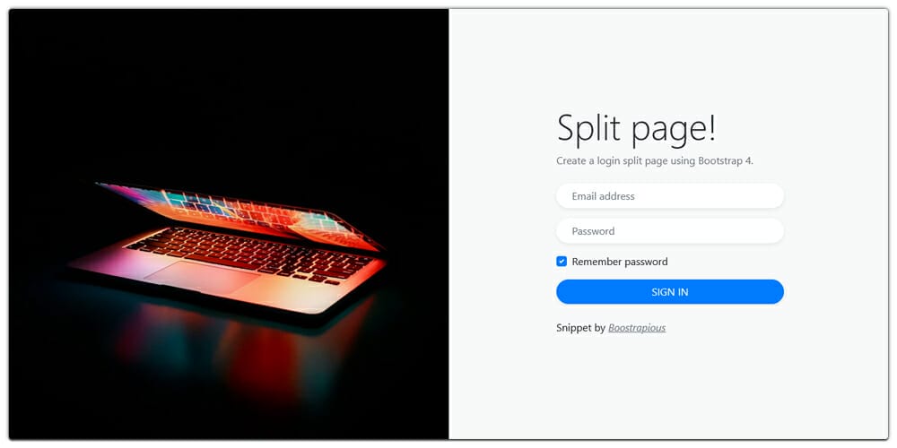 Login Split Page