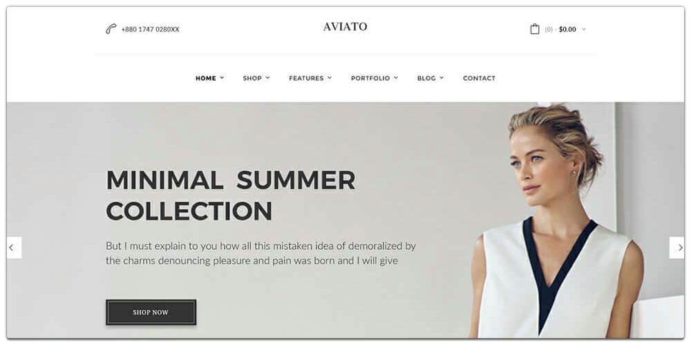 Aviato E-Commerce Template PSD