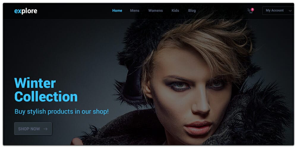 Explore Ecommerce Web Template