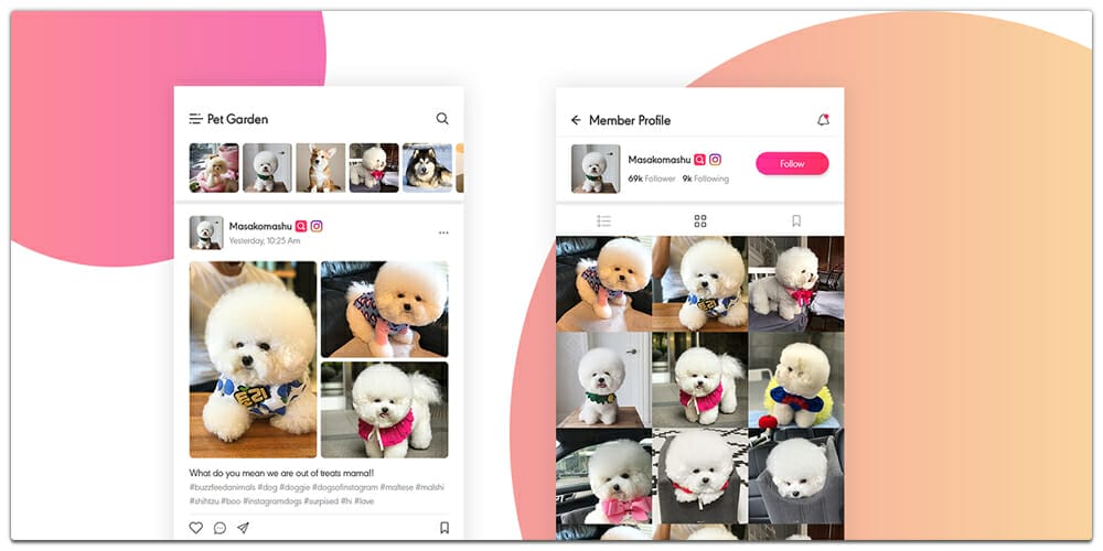 Latest Free Mobile App UI PSD Designs 65 Roxi Social App UI PSD for Pet Lover