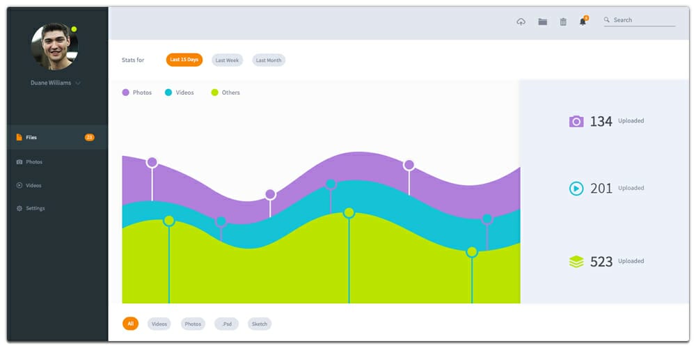 Free File Dashboard UI PSD