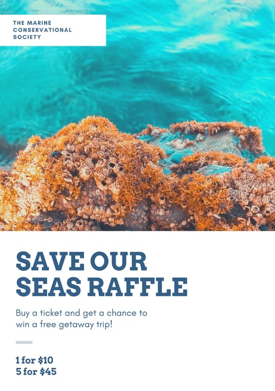 25+ Stunning Canva Poster Templates to Elevate Your Marketing 24 Dark Teal and White Raffle Fundraising Poster