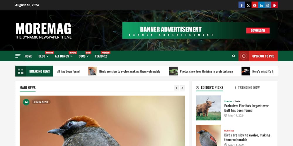 Stunning Elementor Magazine Templates for Eye-Catching Layouts 26 MoreMag