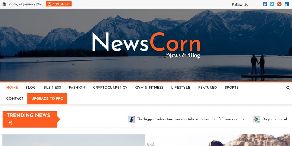 Stunning Elementor Magazine Templates for Eye-Catching Layouts 30 NewsCorn