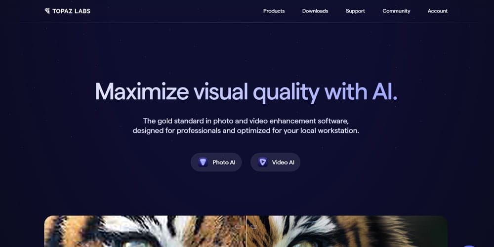 Top Free AI Design Tools Every Designer Should Use 13 Topaz Labs