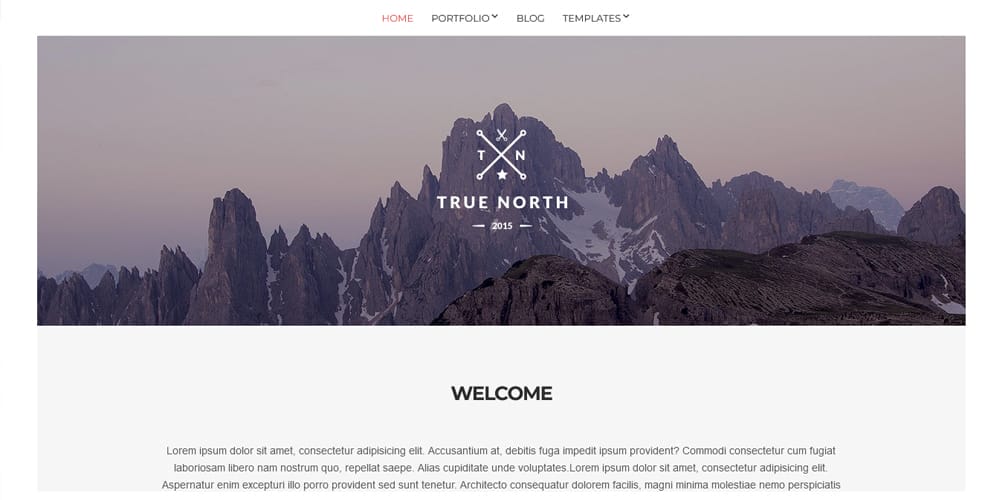 Top Elementor Portfolio Templates for Showcasing Your Work 12 True North