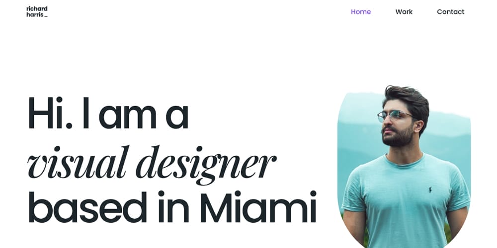 Top Elementor Portfolio Templates for Showcasing Your Work 1 Visual Artist Portfolio