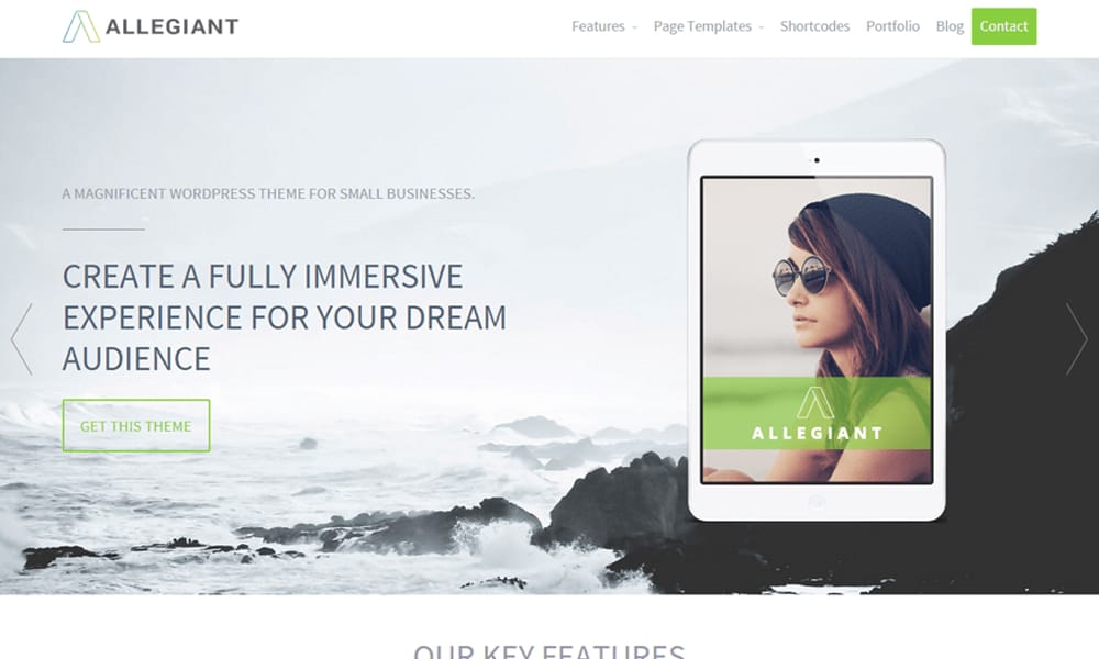 The Ultimate Collection of Free Elementor WooCommerce Templates 56 Allegiant