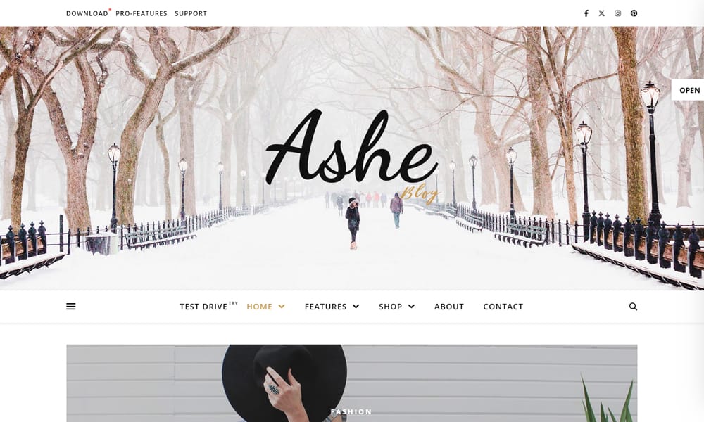 The Ultimate Collection of Free Elementor WooCommerce Templates 54 Ashe
