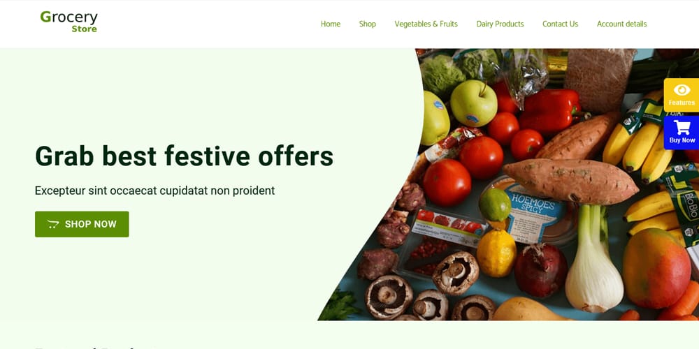 The Ultimate Collection of Free Elementor WooCommerce Templates 15 Groceries Store
