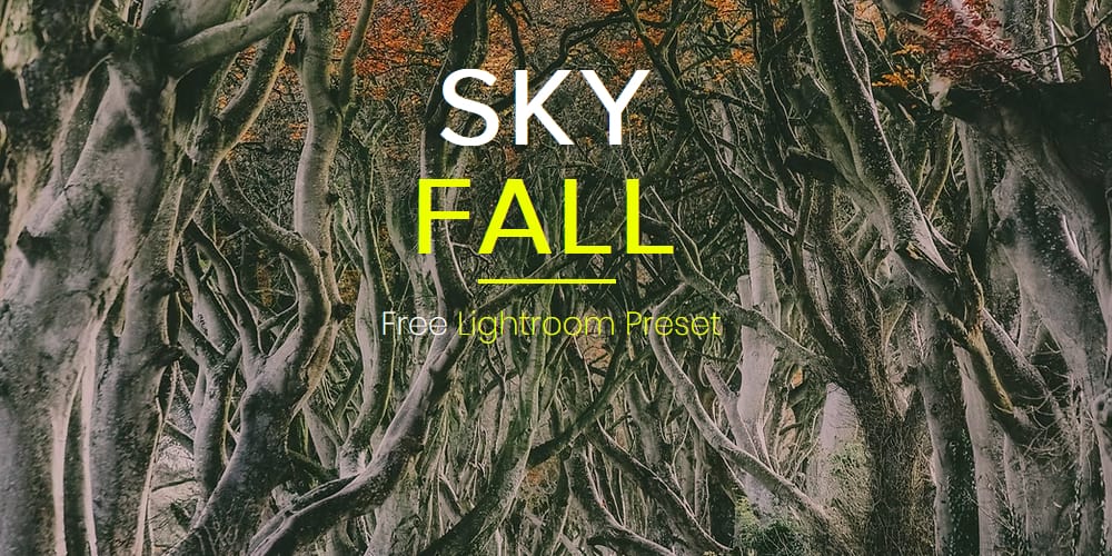 Best Lightroom Presets for Every Photography Style 75 Skyfall Lightroom Preset