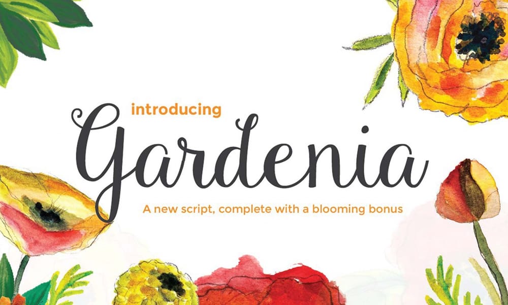 The Most Beautiful Feminine Typefaces 20 Gardenia Script Font