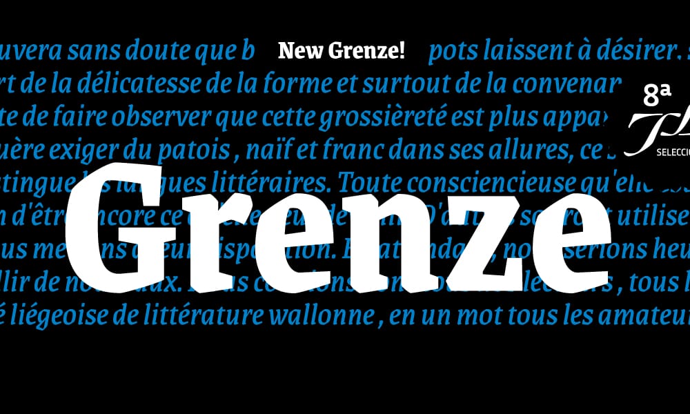 Free Serif Fonts for Commercial Use – Perfect for Designers! 5 Grenze Serif Typeface