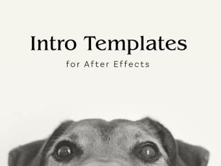 Intro Templates for After Effects