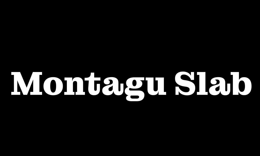 Free Serif Fonts for Commercial Use – Perfect for Designers! 22 Montagu Slab