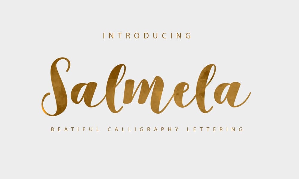 The Most Beautiful Feminine Typefaces 28 Salmela Font