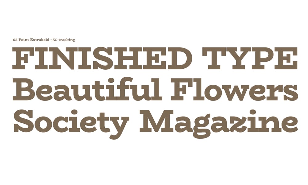 Free Serif Fonts for Commercial Use – Perfect for Designers! 61 BioRhyme Font
