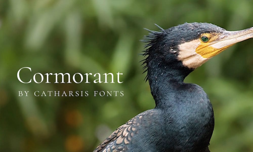 Free Serif Fonts for Commercial Use – Perfect for Designers! 56 Cormorant Font