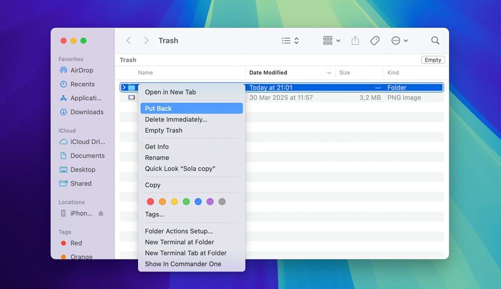 How to Recover Lost Web Design Files After a Crash or Mistake 5 put back from trash