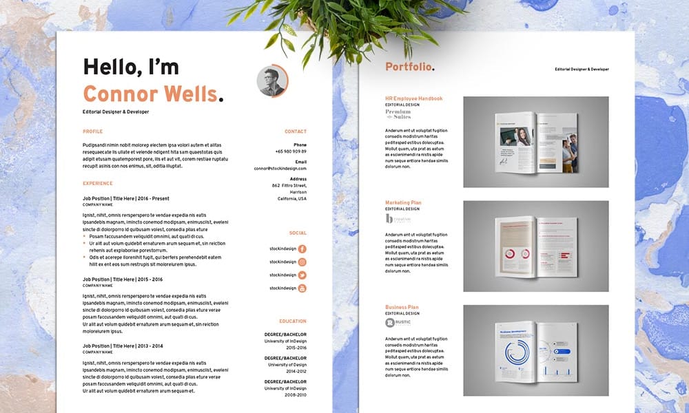 The 50+ Best Free InDesign Portfolio & Lookbook Templates (2025) 31 Free Resume Template for Designers