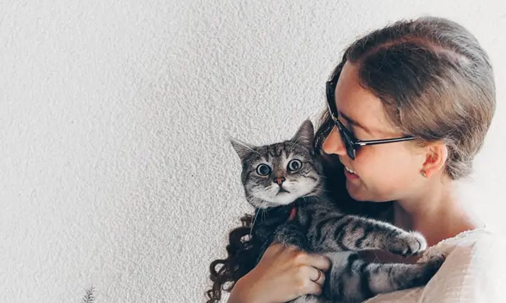 15+ Free Lightroom Presets for Instagram (2025 Designer's Guide) 8 Retro Instagram Blogger