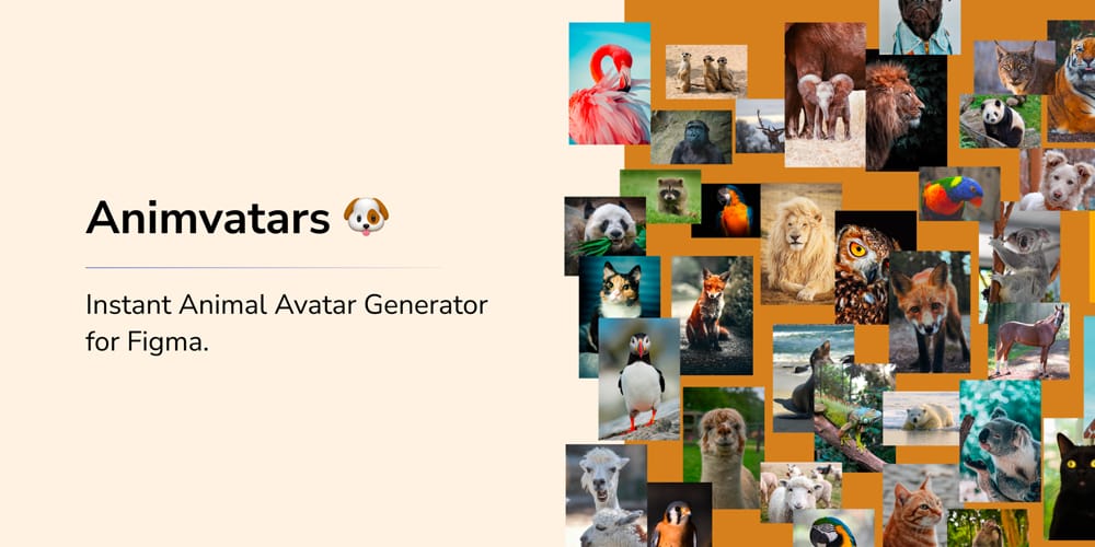 Best Figma Avatar Plugins (2025) – Top 10 Picks for Designers 13 Animvatars