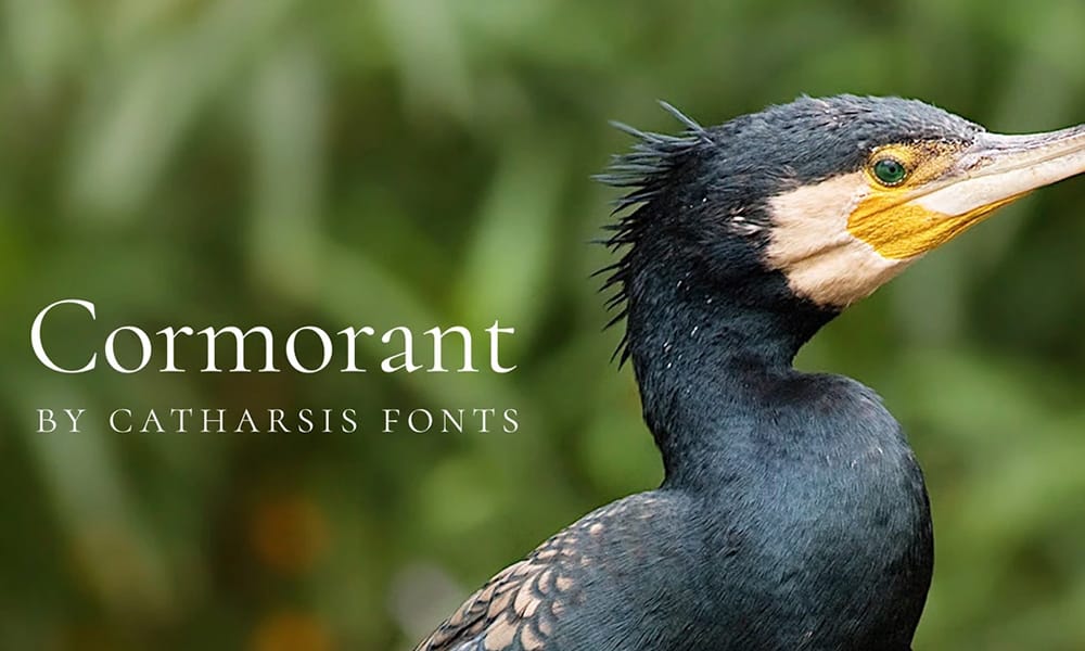 58 Best Free Variable Fonts That Will Transform Your Web Design in 2025 34 Cormorant